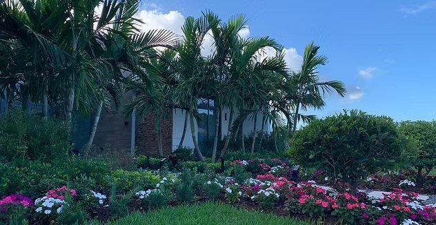 Palm trees above colorful flower beds and lawn