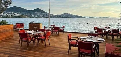 Contract outdoor and restaurant furniture collection in a hospitality venue